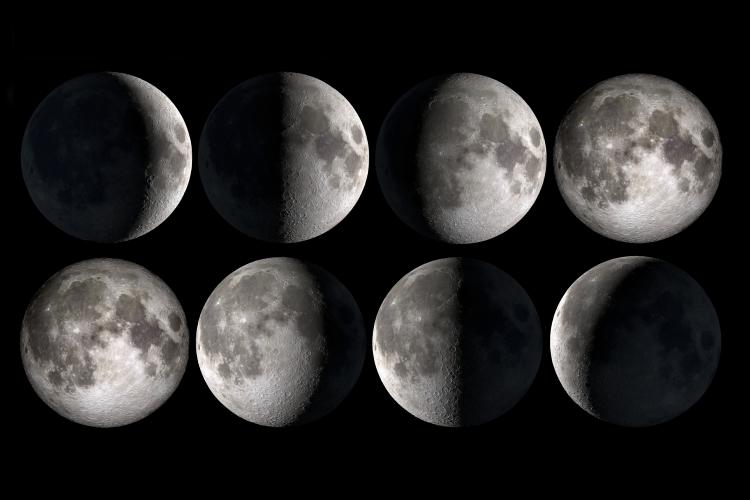 What are the different phases of the moon ?