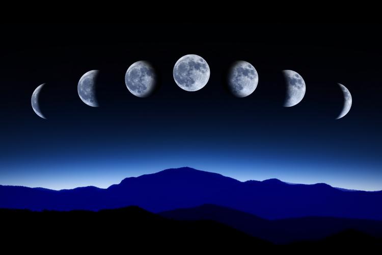 What are the different phases of the moon ?