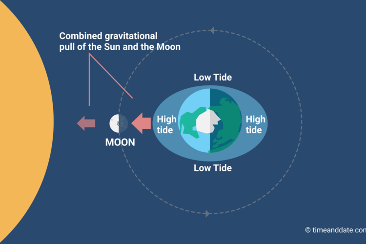 lunar tides are larger than solar tides