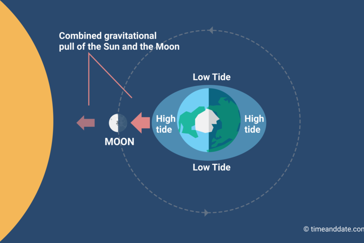 The Moon Causes Tides on Earth