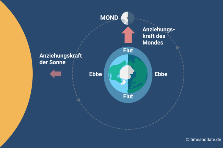 tides-third-quarter-moon-de.png