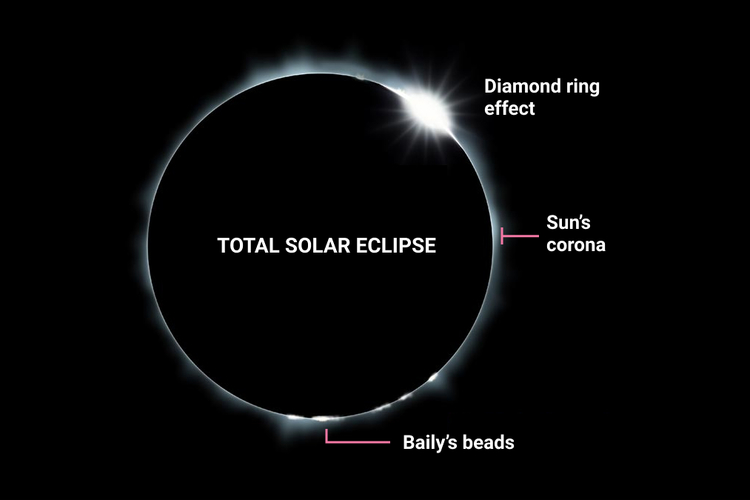 Image result for total eclipse