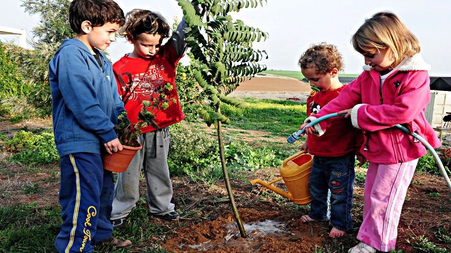 Tu Bishvat/Tu B'Shevat 2025 in the United States