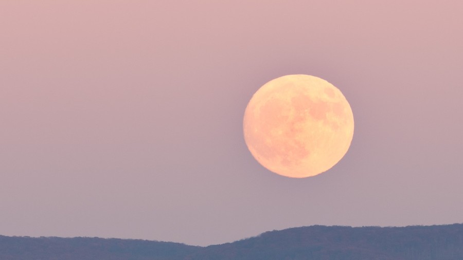 La Superluna de Cosecha se eleva sobre el campus de la Universidad de Virginia Occidental en Morgantown WV el 13 de noviembre de 2016.