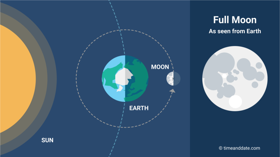 Phases of the moon