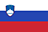 Flagg for Slovenia