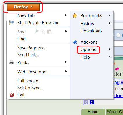 How To Enable Cookies In Internet Explorer Vista